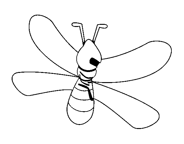 Mosquito with big wings coloring page