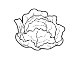 Organic cabbage coloring page