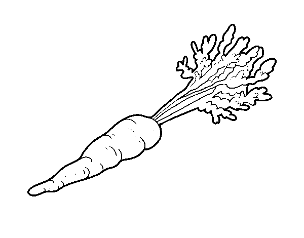 Organic carrot coloring page