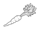 Organic carrot coloring page