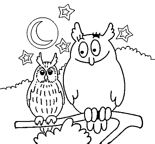 Owls coloring page