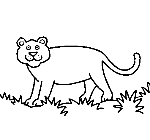 Panthera coloring page 