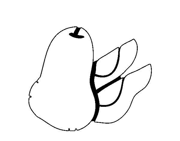 Pear cut coloring page