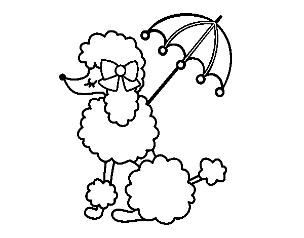 Poodle with sunshade coloring page