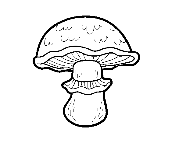 Portobello mushroom coloring page