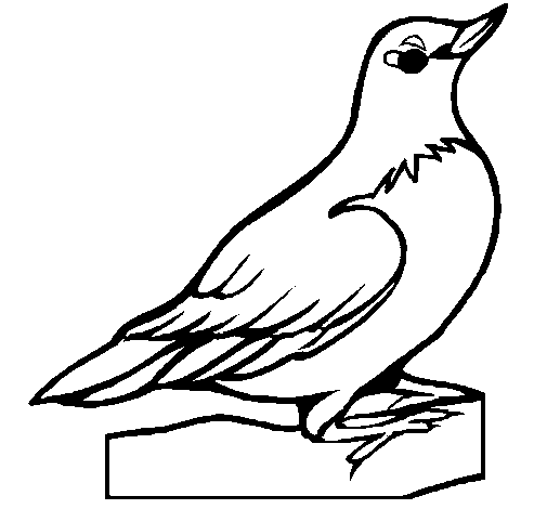 Robin coloring page