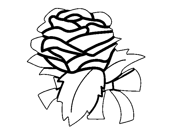 Rose, flower coloring page