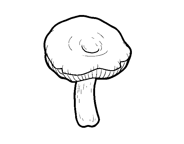 Russula mushroom coloring page
