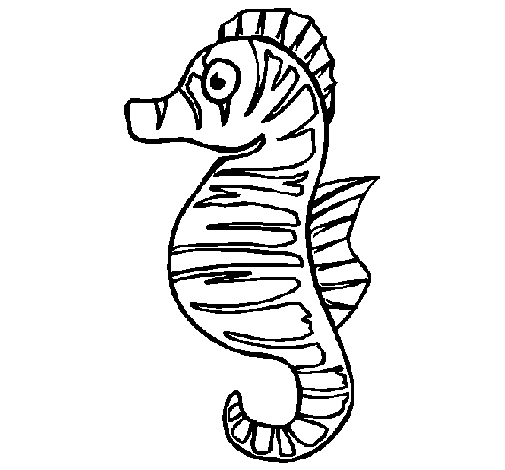 Sea horse coloring page