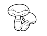 Suillus mushroom coloring page