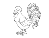 Te rooster farm coloring page