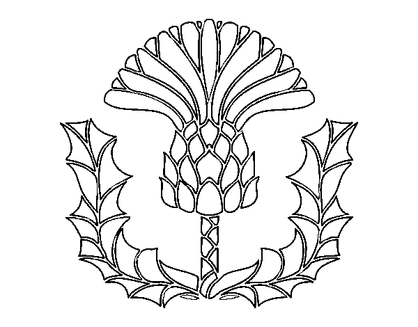 Thistle coloring page - Coloringcrew.com