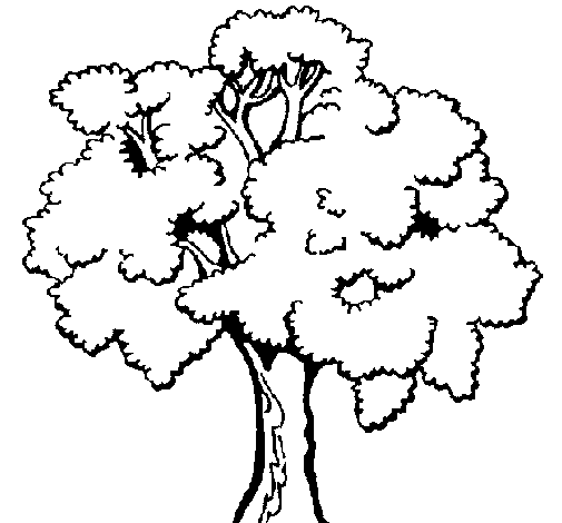 Tree 1 coloring page