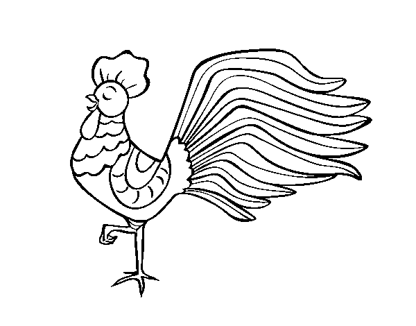 Wild rooster coloring page