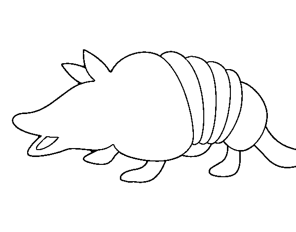 Young armadillo coloring page