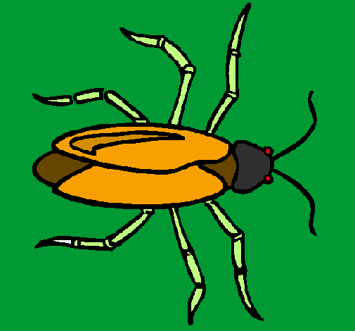 Coloring page Cockroach painted byHugo