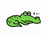 Sleeping crocodile