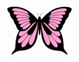 Butterfly 19