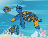 Sea turtle with fish